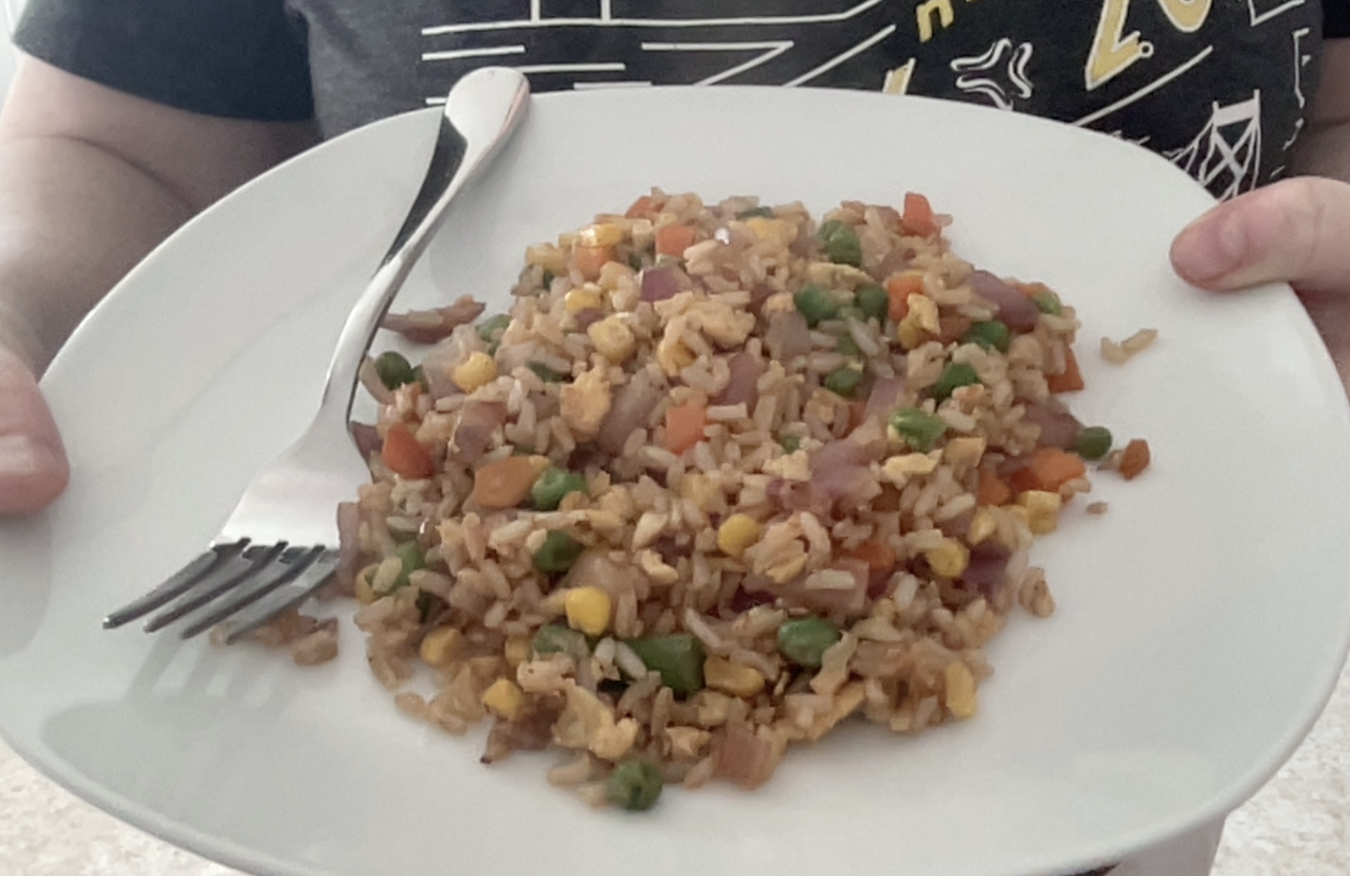 fried rice made from a chatgpt ai created recipe